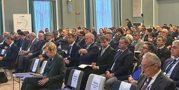 ANIMA - Previsioni di mercato 2025