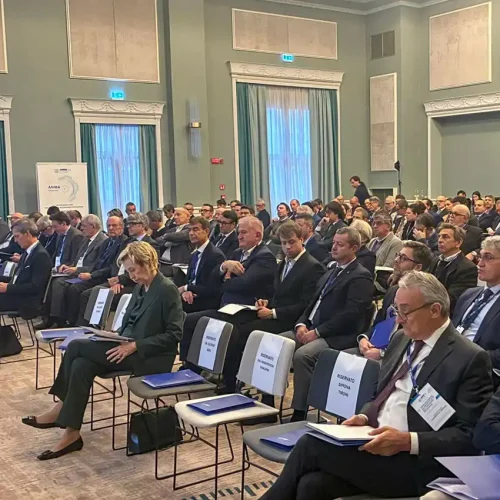 ANIMA - Previsioni di mercato 2025